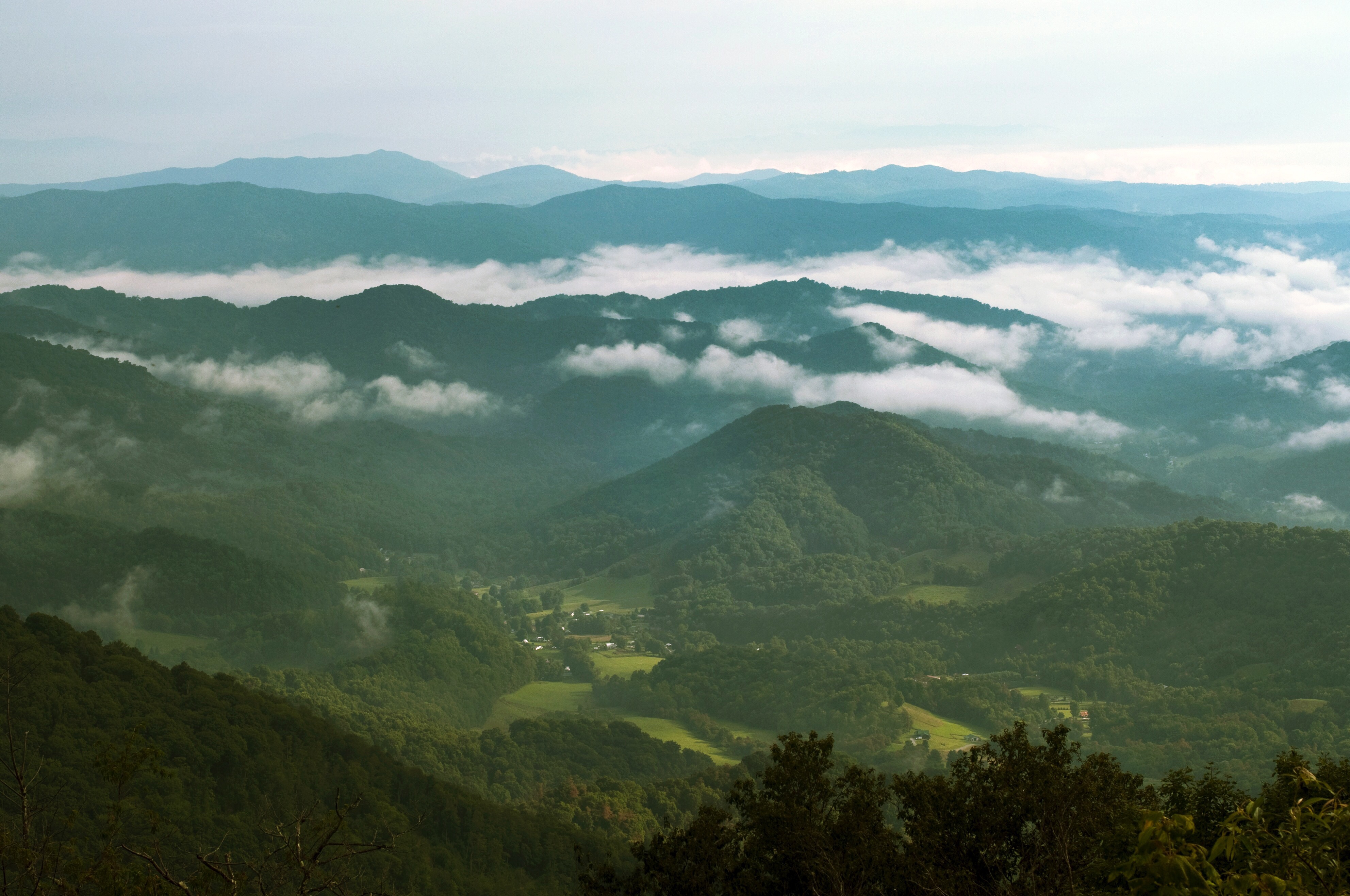 Roan Mountain » Josh Branson