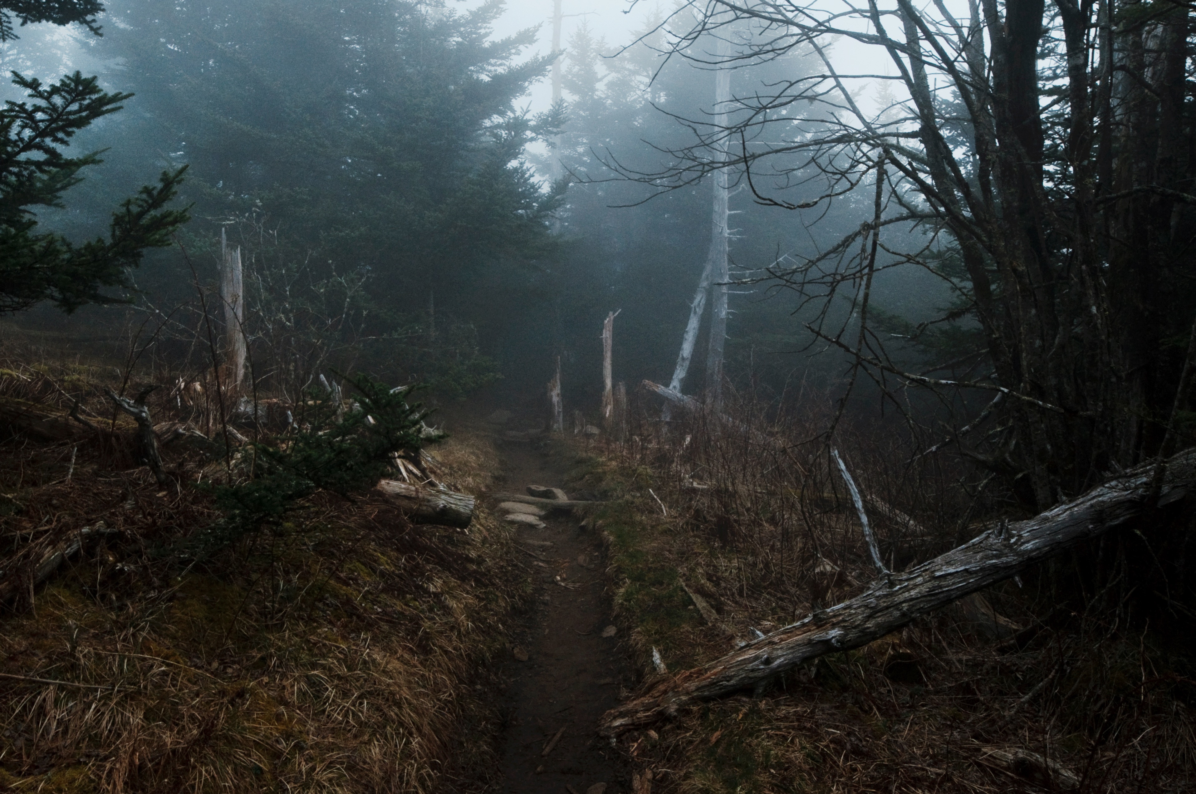 The Underwood Realm » Josh Branson